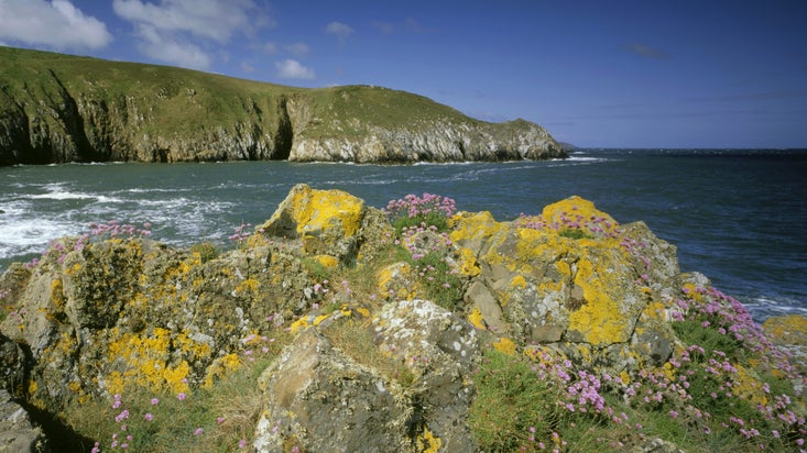 Golygfa o bentir creigiog Pen Anglas, Sir Benfro, Cymru. Mae creigiau wedi’u gorchuddio â chen yn y blaendir, tra bod y pentir yn y pellter gyda'r môr i’w weld rhyngddynt.